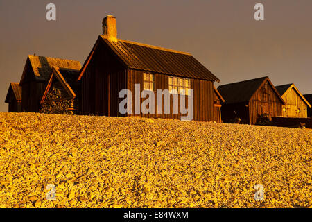 Il villaggio di pescatori Helgumannen presso sunrise vicino Langhammars su Fårö, Gotland, Svezia e Scandinavia Foto Stock