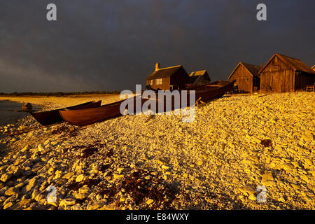 Il villaggio di pescatori Helgumannen presso sunrise vicino Langhammars su Fårö, Gotland, Svezia e Scandinavia Foto Stock