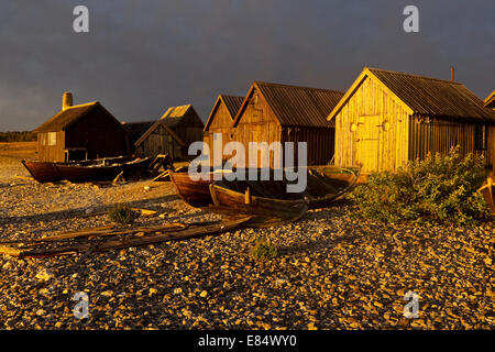 Il villaggio di pescatori Helgumannen presso sunrise vicino Langhammars su Fårö, Gotland, Svezia e Scandinavia Foto Stock