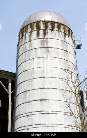 Vecchio silo in una fattoria vicino a McGaheysville, Virginia, Stati Uniti d'America. Foto Stock