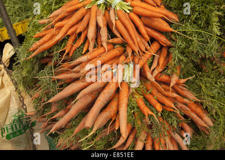 Fresca carote al Grand Army Plaza Green Market di Brooklyn, New York. Foto Stock