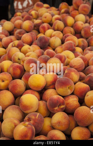 Pesche al Grand Army Plaza mercato verde su un Sabato mattina in Brooklyn, New York. Foto Stock