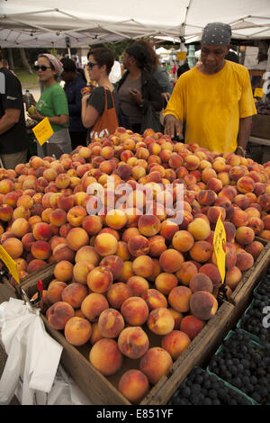 Pesche al Grand Army Plaza mercato verde su un Sabato mattina in Brooklyn, New York. Foto Stock