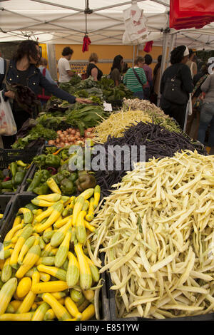 Negozio di persone per una fresca estate verdure dagli agricoltori presso il Grand Army Plaza Green Market di Brooklyn, New York. Foto Stock