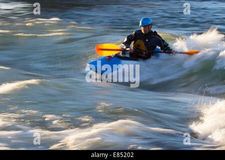 Kayak a pagaiare attraverso le onde sul fiume Bow nel centro di Calgary. L'onda stazionaria in città è stata creata da acque alluvionali alte nel 2013. Foto Stock