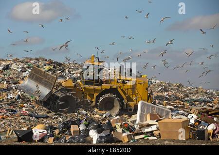 Trashmaster garbage in movimento in una discarica attiva cella al Shepard rifiuti Facility Management. Foto Stock