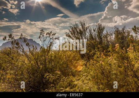 Raggiera e la luce dopo la tempesta in piroga pozzi nel Parco nazionale di Big Bend. Foto Stock