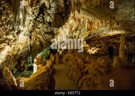 Grotta di stalattiti, Borgio Verezzi Grotte Borgio Verezzi, Provincia di Savona, Liguria, Italia Foto Stock