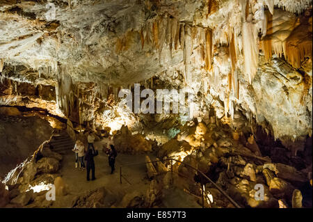 Grotta di stalattiti, Borgio Verezzi Grotte Borgio Verezzi, Provincia di Savona, Liguria, Italia Foto Stock