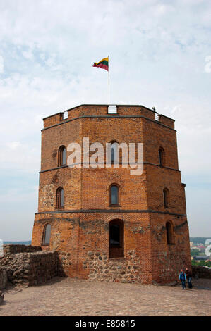 Torre di Gediminas sulla Collina del Castello di Vilnius, Lituania, Paesi Baltici Foto Stock