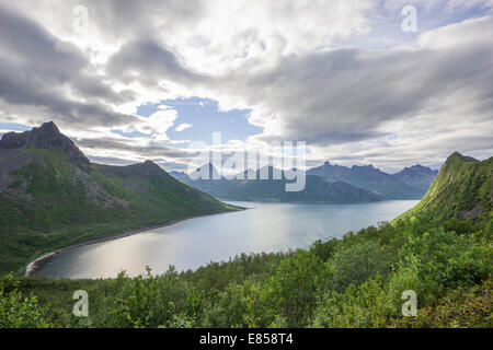 Fiordo di Traelvika, isola di Senja, Husøy, Trom, Norvegia Foto Stock