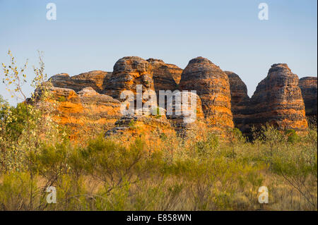 Pasticciare Bungles, alveare a forma di torri di pietra arenaria, Parco Nazionale di Purmululu, Sito Patrimonio Mondiale dell'UNESCO, Kimberleys orientale Foto Stock