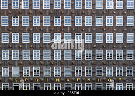 File di Windows dell'edificio Sprinkenhof, Amburgo, Germania, Europa. - Settembre 2014 Foto Stock