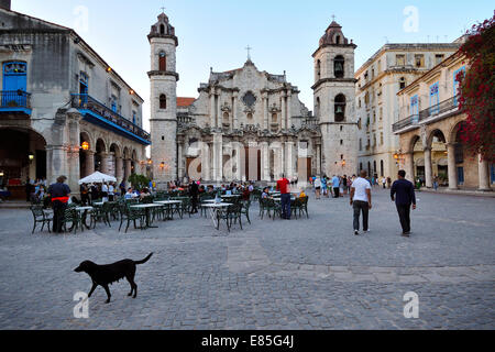 Plaza de la Catedral e la Catedral de San Cristobal Havana Cuba Foto Stock