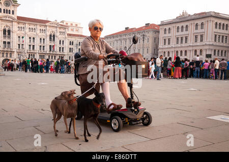 Senior donna sulla mobilità di scooter a piedi auto i suoi cani in Piazza Unita d'Italia Trieste Italia Foto Stock