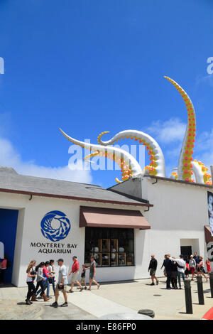 Monterey, Monterey Bay Aquarium, CALIFORNIA, STATI UNITI D'AMERICA Foto Stock