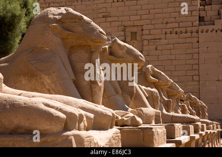 Egitto Luxor Tempio di Karnak, Avenue di montoni all ingresso del tempio Foto Stock