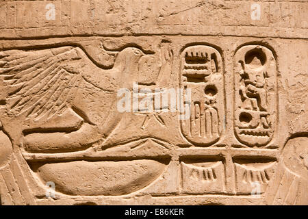 Egitto Luxor Tempio di Karnak, bassorilievo di uccello in volo Foto Stock