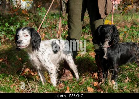 In Campagna Foto Stock