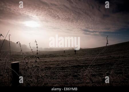 In Campagna Foto Stock