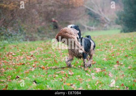 In Campagna Foto Stock