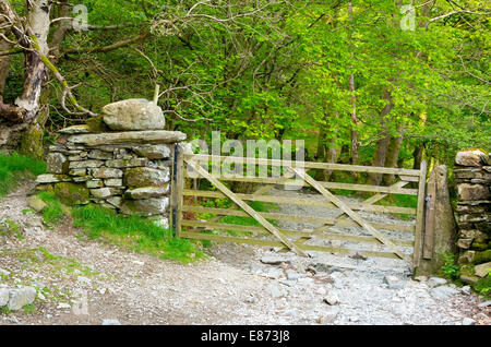 Cancello in legno che conduce a Sawrey il legno, grande Langdale, Parco Nazionale del Distretto dei Laghi, Cumbria, England, Regno Unito Foto Stock
