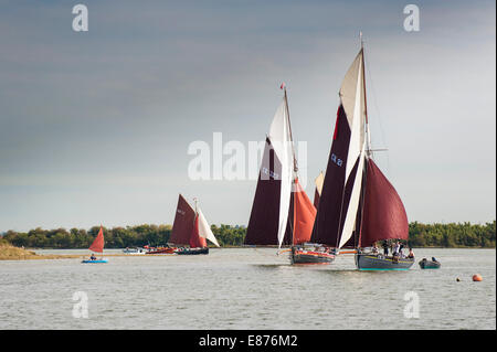 Costa est puzza di pesca gara alla linea di finitura durante la regata Maldon Essex. Foto Stock