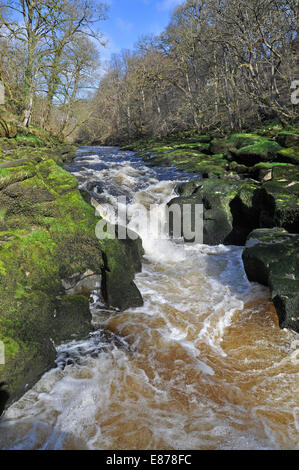 L 'hotel Astrid, vicino a Bolton Abbey, un imbuto di stretta di acqua al di sotto della quale vi è una piscina superiore/più profonda di una casa!attrazione turistica Foto Stock