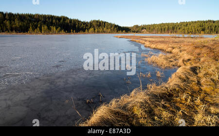 La fusione e la debole di ghiaccio su un piccolo lago di foresta in primavera , Finlandia Foto Stock