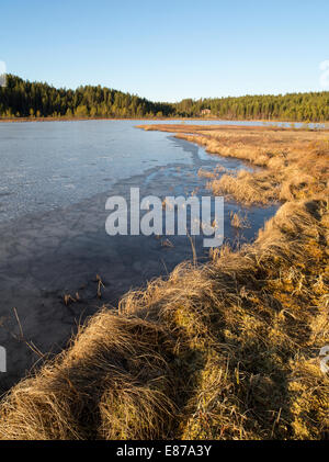 La fusione e la debole di ghiaccio su un piccolo lago di foresta in primavera , Finlandia Foto Stock