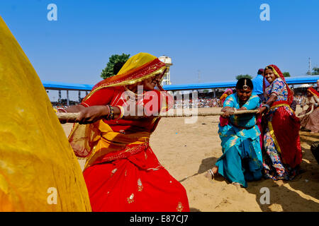 Le donne che prendono parte ad un rimorchiatore di guerra durante la famosa fiera del cammello di Pushkar, Ajmer, Rajasthan, India Foto Stock