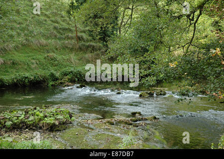 Millers Dale nel Derbyshire dal fiume Wye Foto Stock