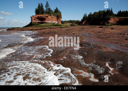 Baia di Fundy, Burncoat testa, ha riferito di avere più grandi maree del mondo, Nova Scotia, Canada Foto Stock