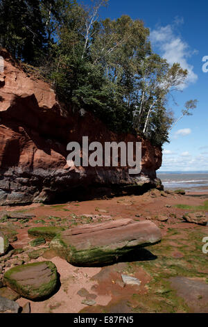 Baia di Fundy, Burncoat testa, ha riferito di avere più grandi maree del mondo, Nova Scotia, Canada Foto Stock