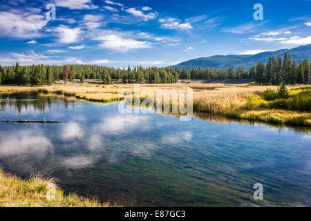 Una tranquilla giornata estiva a fianco del palo cat creek nel parco di Yellowstone paese indietro. Foto Stock