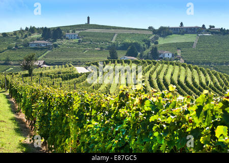 L'Italia,panorama di vigneti del Piemonte: Langhe-Roero e Monferrato nella Lista del Patrimonio Mondiale UNESCO: panorama vicino a Canelli Foto Stock