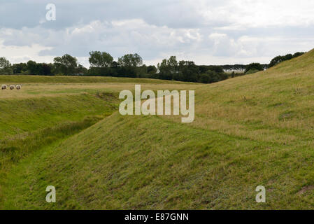 Baily, Fossato, e pecore, anello fortezza, Trelleborg, Slagelse, Danimarca 140816 62336 Foto Stock