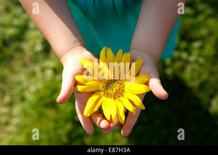 Piccola ragazza detiene il bellissimo girasole nella fotocamera Foto Stock