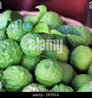 Di combava sanguisuga o lime sul vassoio del mercato Foto Stock