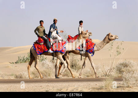 I piloti di cammelli in viaggio nel deserto di Thar, Sam, vicino a Jaisalmer, Rajasthan, India Foto Stock