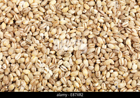 Orzo perlato telaio completo Foto Stock