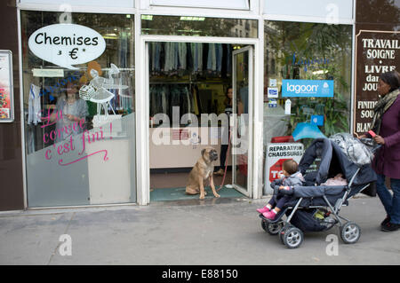 Parigi, Francia. Il 2 ottobre, 2014. Un cane si trova all'entrata di una lavanderia francese a Parigi Credito: amer ghazzal/Alamy Live News Foto Stock