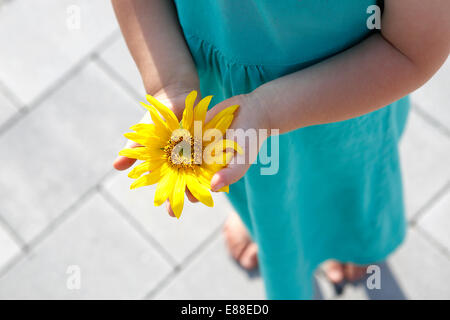 Piccola ragazza detiene il bellissimo girasole nella fotocamera Foto Stock