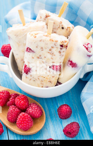 Frozen yogurt con avena e lamponi Foto Stock