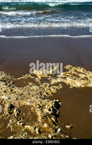 Le rocce su una spiaggia con fuori fuoco mare in background Foto Stock