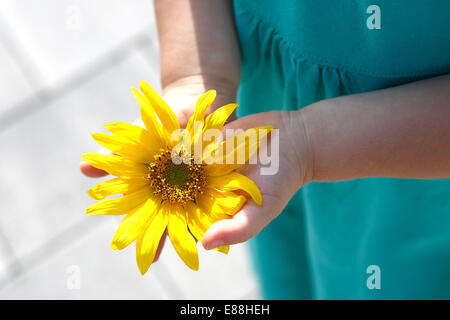 Piccola ragazza detiene il bellissimo girasole nella fotocamera Foto Stock