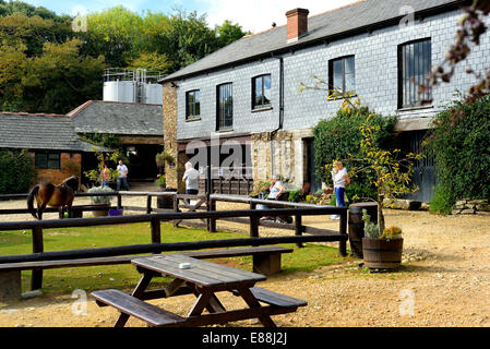 Healey's Cornish sidro Farm è un indipendente di piccole dimensioni a conduzione familiare vicino a Truro in Cornovaglia. Essa prepara e vende il proprio il sidro di mele Foto Stock