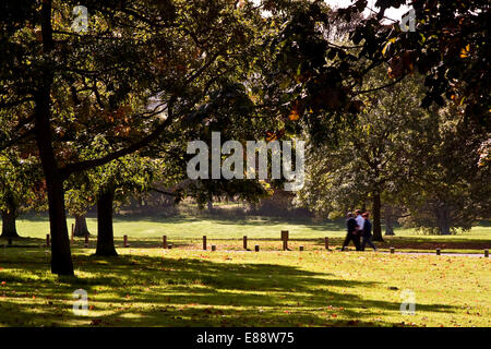 Dundee, Scotland, Regno Unito. 2 Ottobre 2014: Meteo; autunno ondata di caldo. Il Met Office registrati che settembre / ottobre 2014 è il più caldo autunno nel Regno Unito dal 1910. Per coloro che godono di un clima caldo e colori autunnali all'interno di Camperdown Country Park a Dundee in Scozia. Credito: Dundee fotografico/Alamy Live News Foto Stock