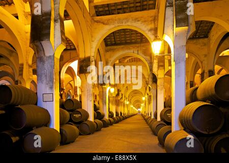 Bodegas Harvey, Jerez de la Frontera, la provincia di Cadiz Cadice, Andalusia, Spagna, Europa Foto Stock