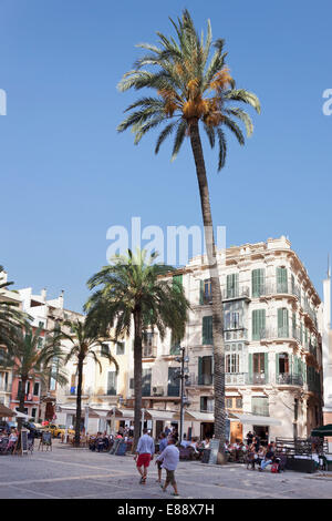 Ristoranti e caffè a der Plaça de la Llotja, Palma de Mallorca, Maiorca, isole Baleari, Spagna, Europa Foto Stock